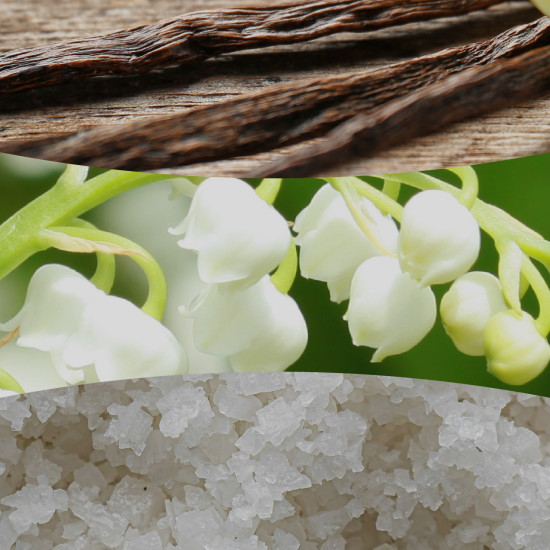 VANILLA & SEA SALT
